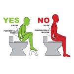 proper pooping posture